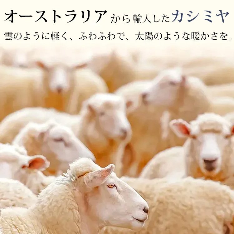 カシミヤニット