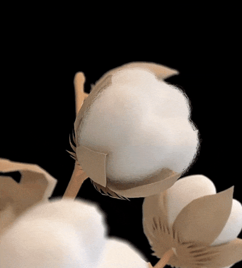 详情_13.gif
