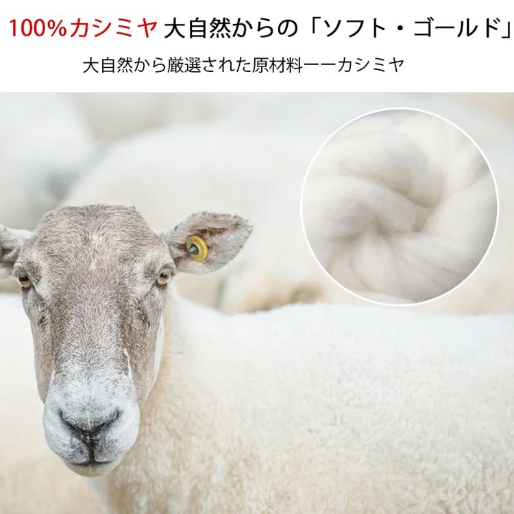 メンズカシミヤセーター