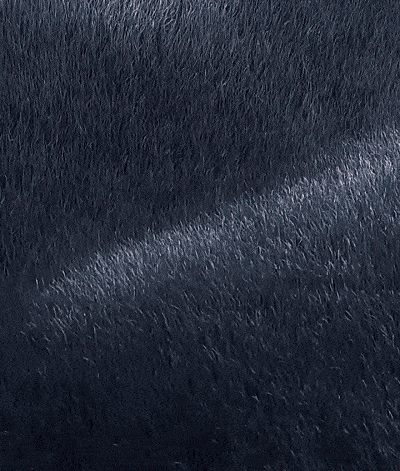9850439a999f8d57ab044f887d17a172.gif