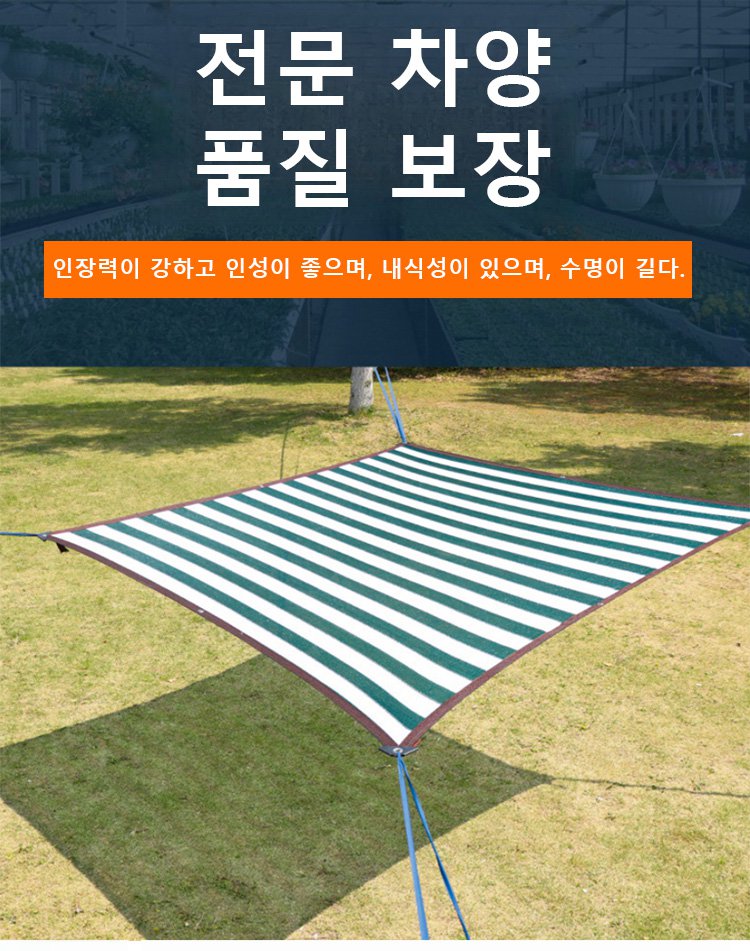 1_02.jpg