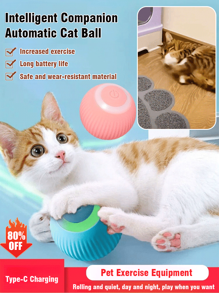 Intelligent teaser ball rolls and makes sounds and is bite-resistant