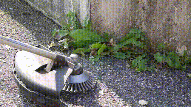 2.gif
