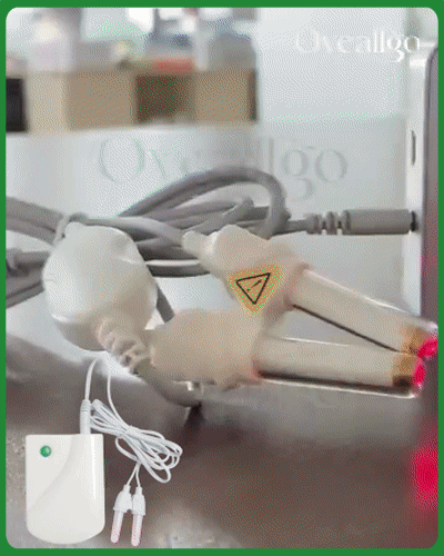 dt-2.gif