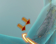 6beed0a7bf74c120b1c03bbe165fdaf8.gif