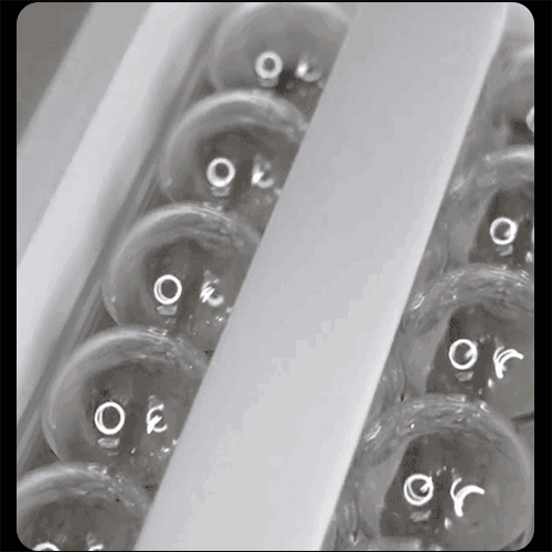 9.gif