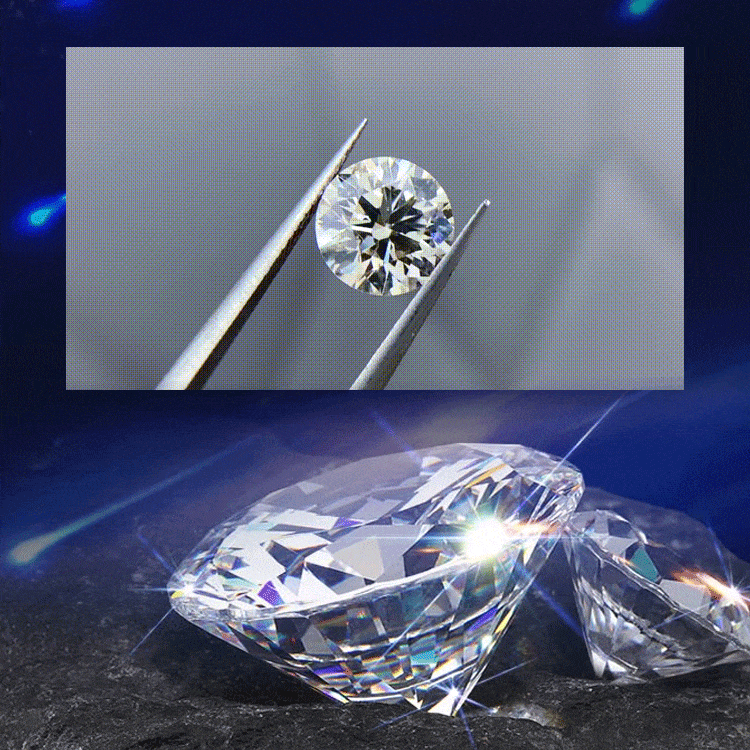 Luxury Niche Design Letter D Collarbone Necklace