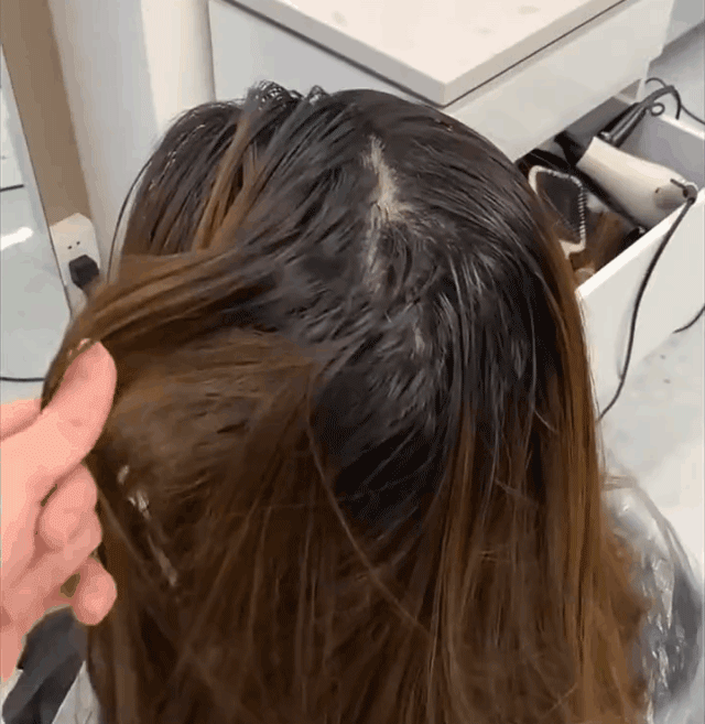 1_35.gif
