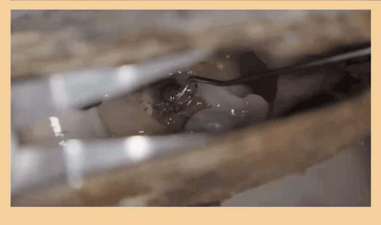 20240429_100445_044.gif