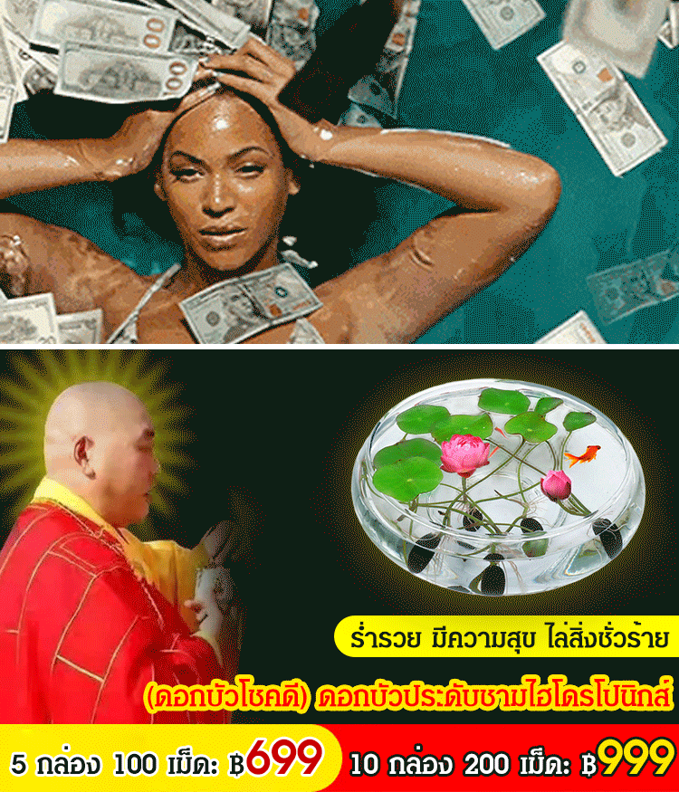 【ดอกบัวนำโชคดี】เมล็ดบัวแคระไฮโดรโปนิกส์สำหรับรับชม