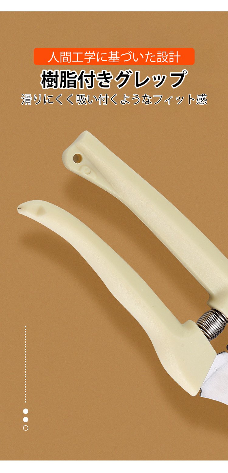 果樹の枝を切る剪定バサミ