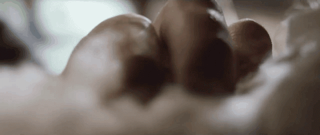 564918452_13.gif