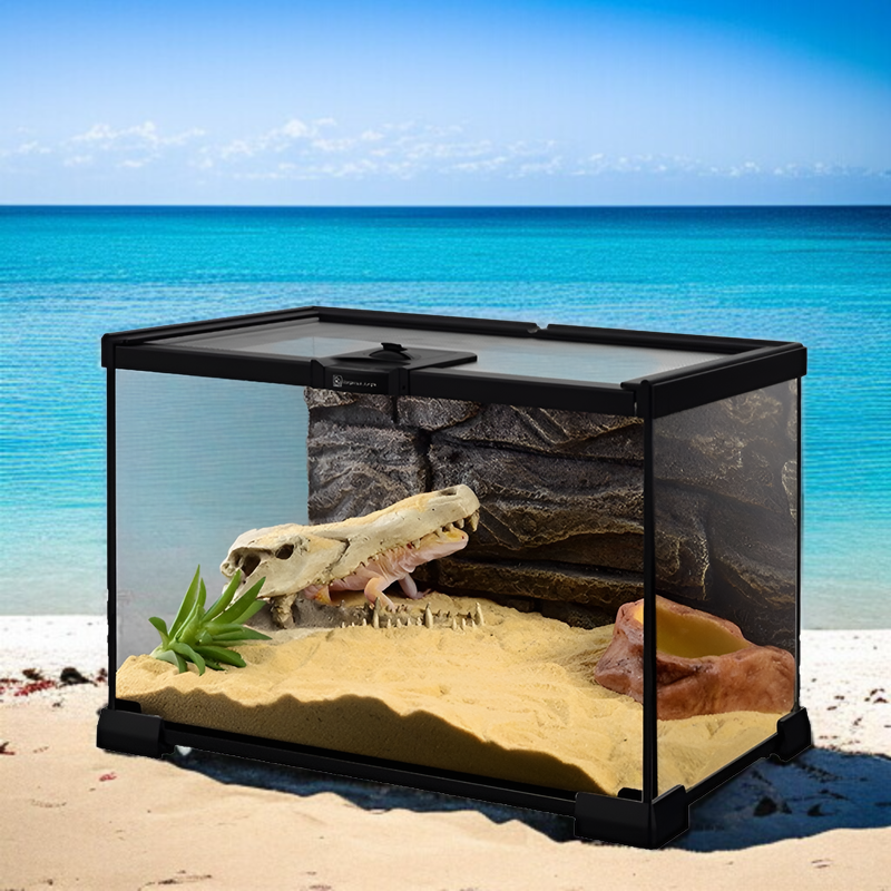 爬宠玻璃缸の全体外観