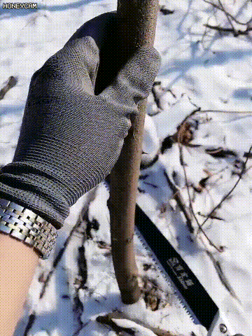 园林果树锯_07.gif