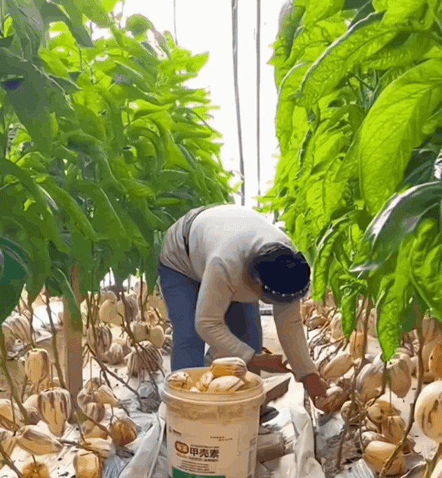 1710176078823798_05.gif