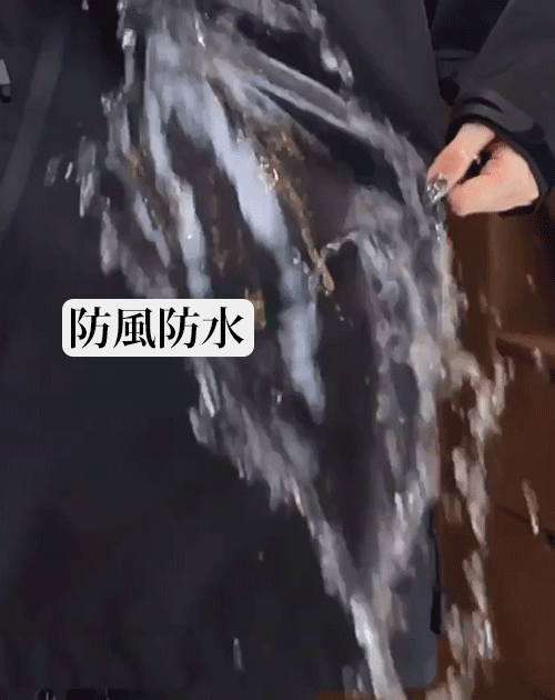cfy_24.gif