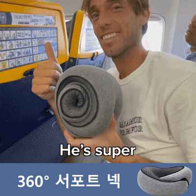 메모리폼 수납이 가능한 u형 베개