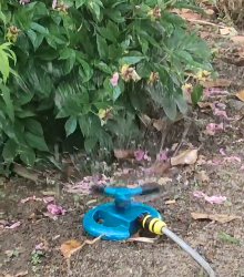 Customer garden photo