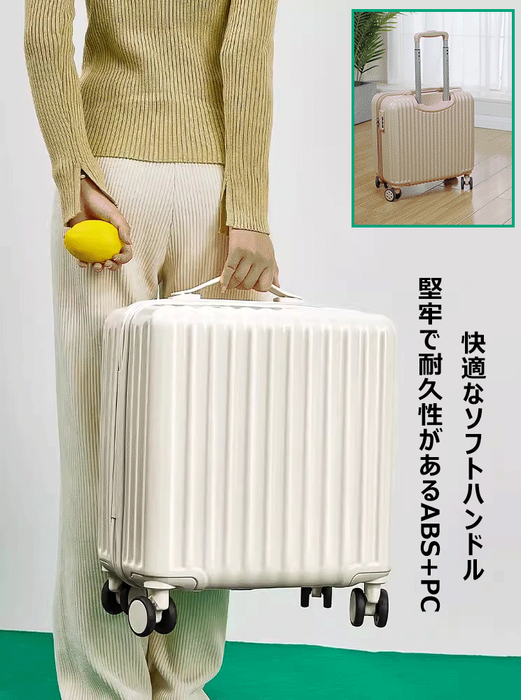 18インチキャリア