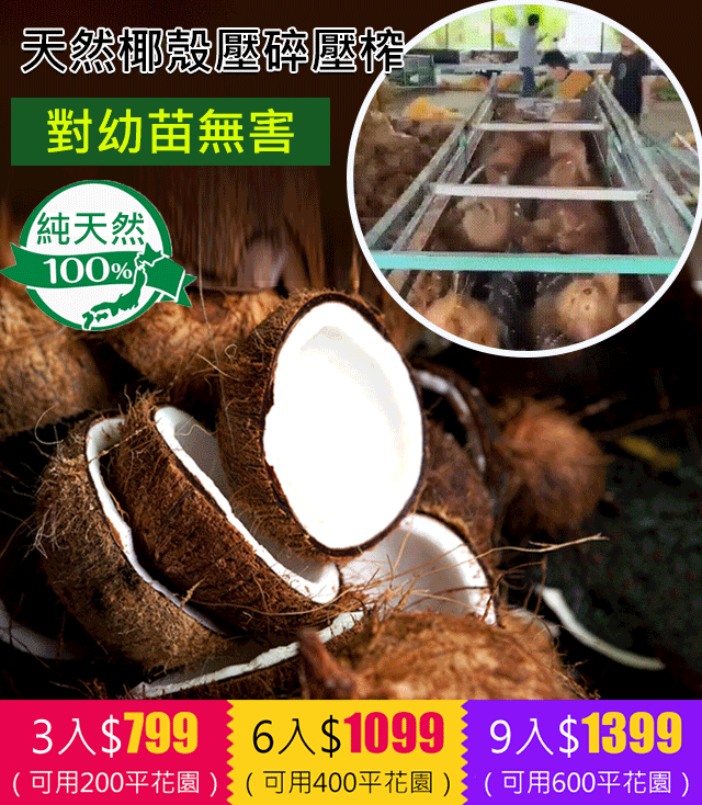 綠植營養土【有機天然椰磚】