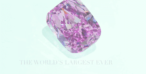 翻译件-JS-重工925银针立体蝴蝶耳钉-1087939_14.gif