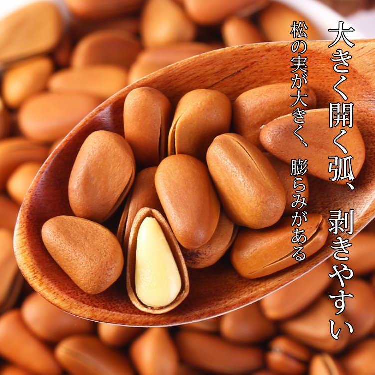 ブラジル産の殻付き松の実