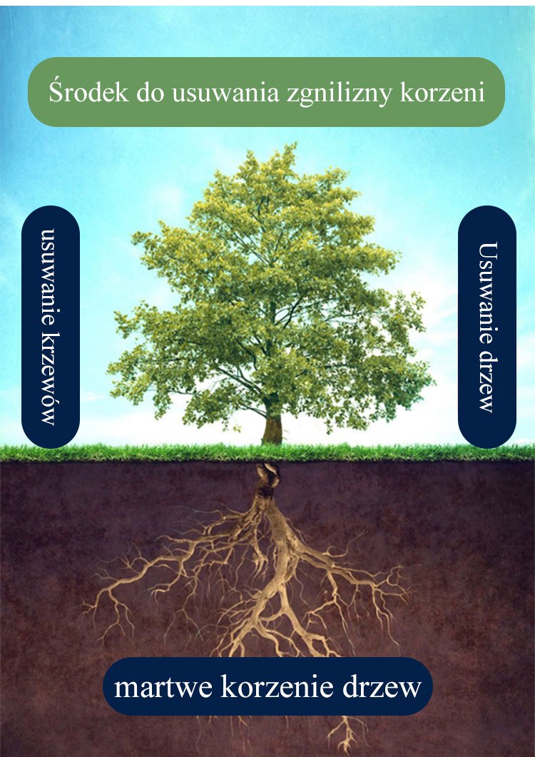 mixed bambusowa siatka zgniły król korzeni w ogrodzie