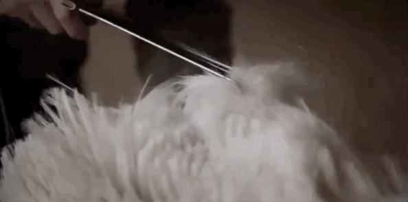 详情-恢复的_10.gif