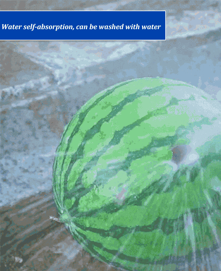 Lithium Battery Car Washing Spray Gun