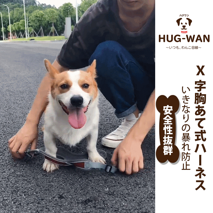 X字胸あて式ハーネス