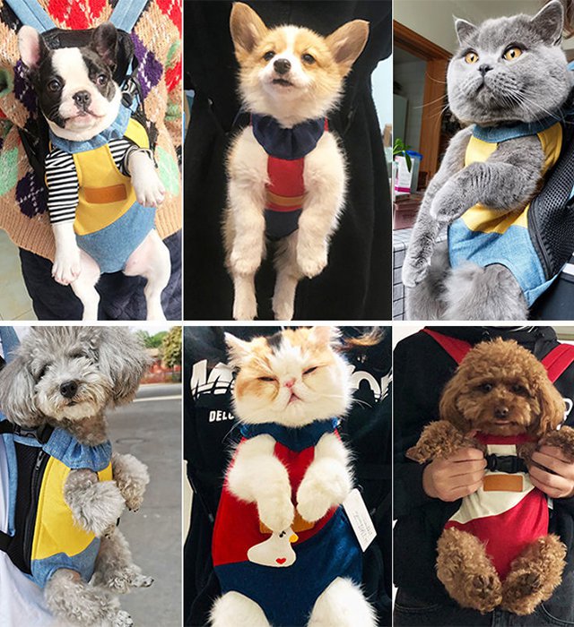 ペット通気抱っこひも