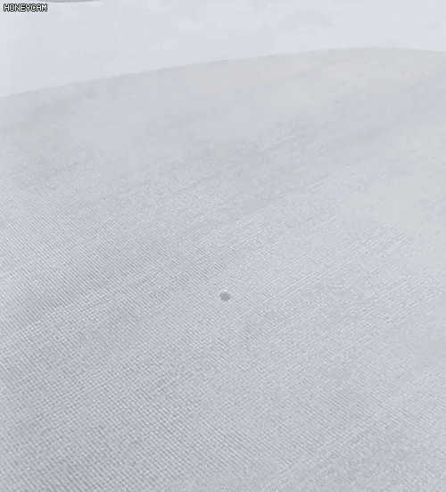 dt_37.gif