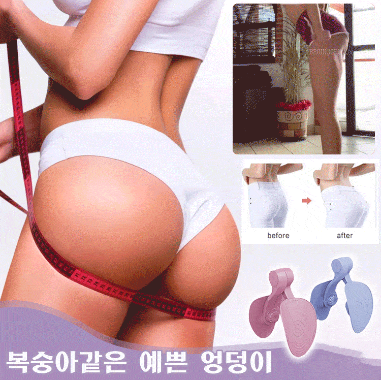 골반저근육 트레이닝 기구