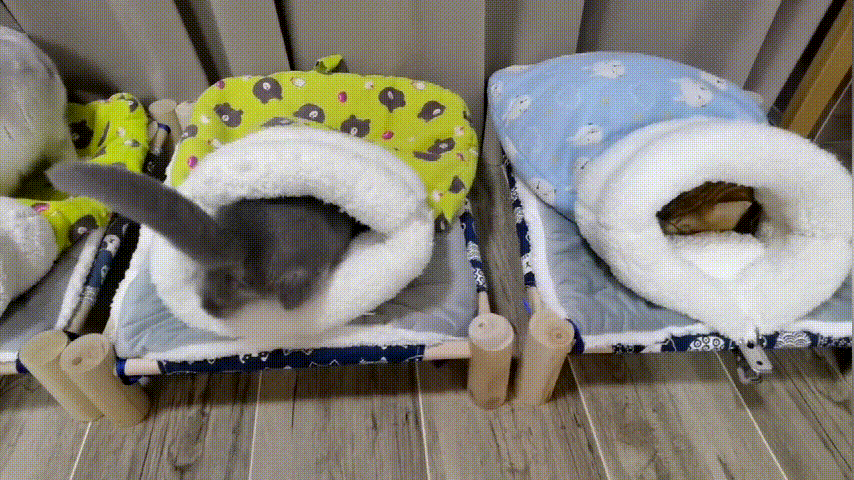 视频 (6).gif
