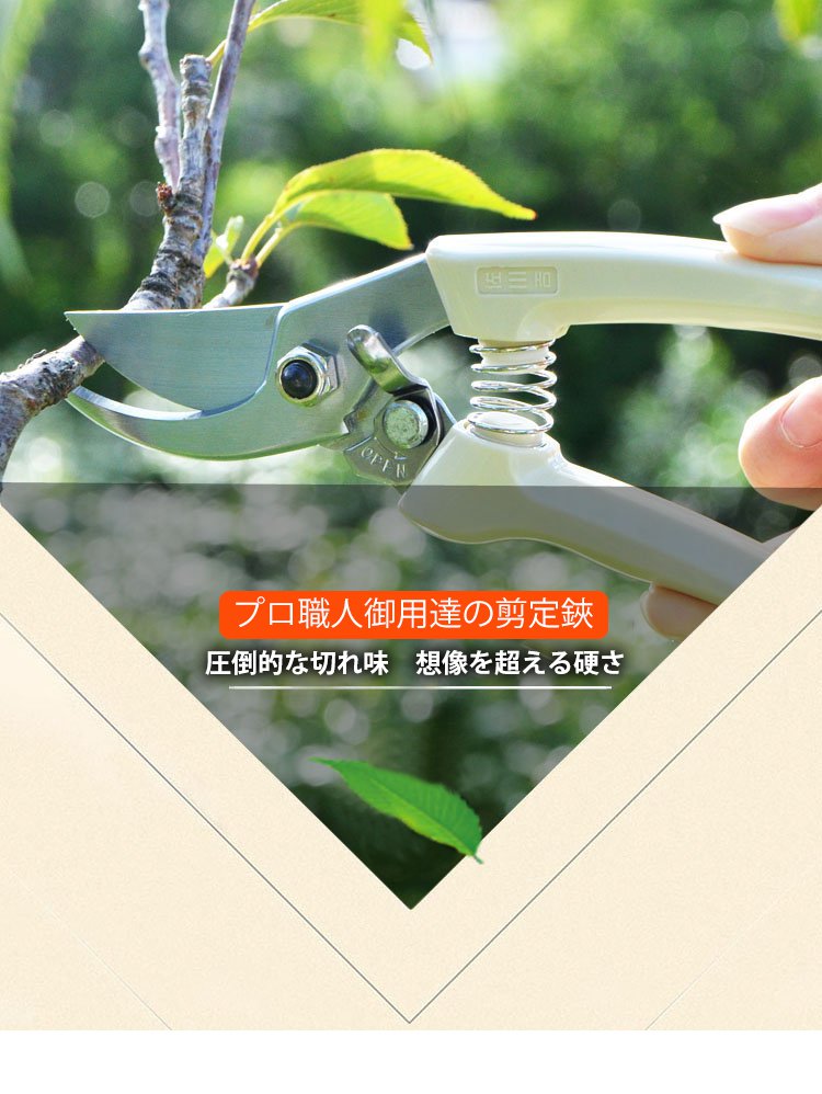 剪定バサミで枝をカットしている様子