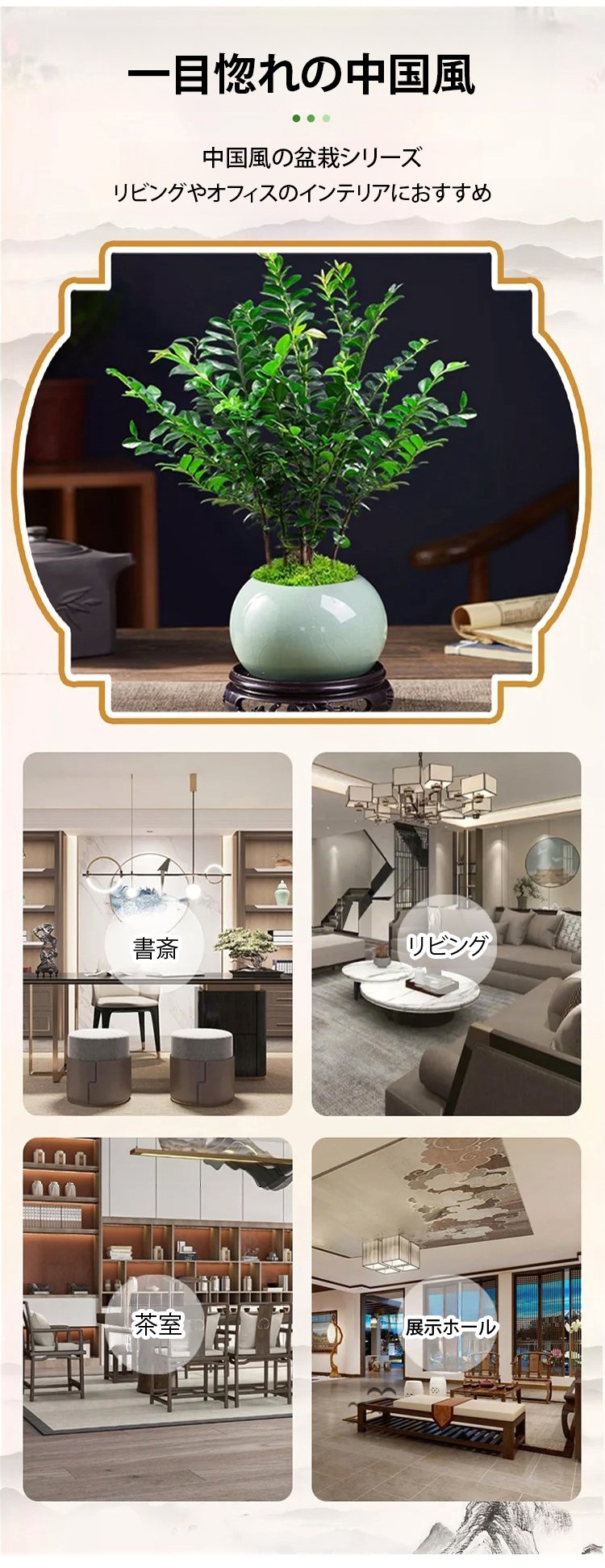 小葉紫檀の種の拡大詳細画像