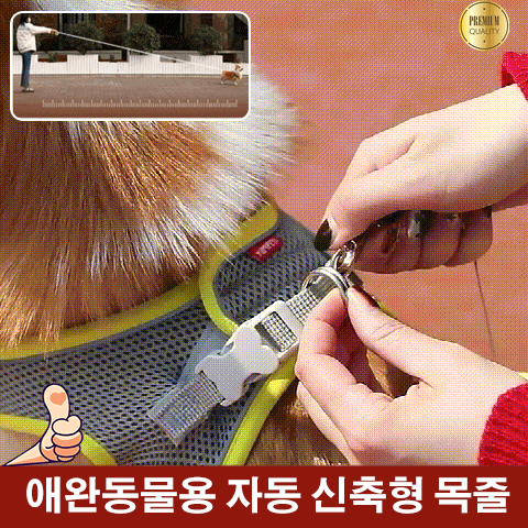 애완동물용 자동 신축형 목줄