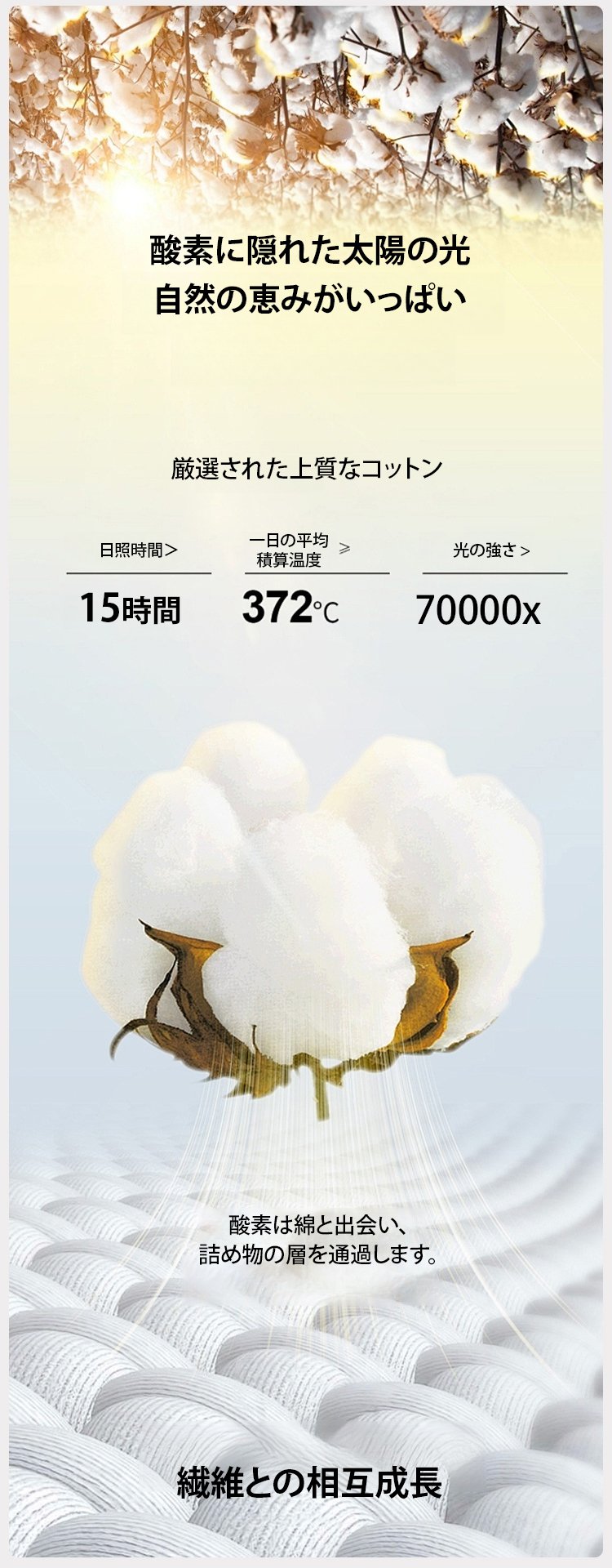日语_17.jpg