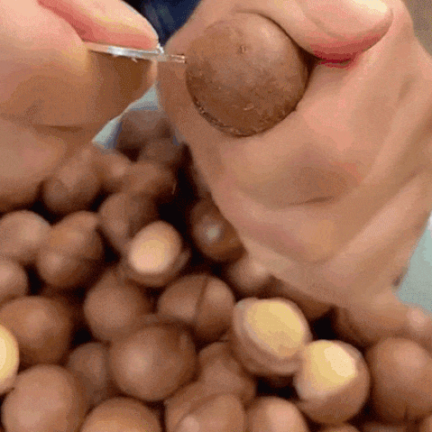 크리미한 마카다미아