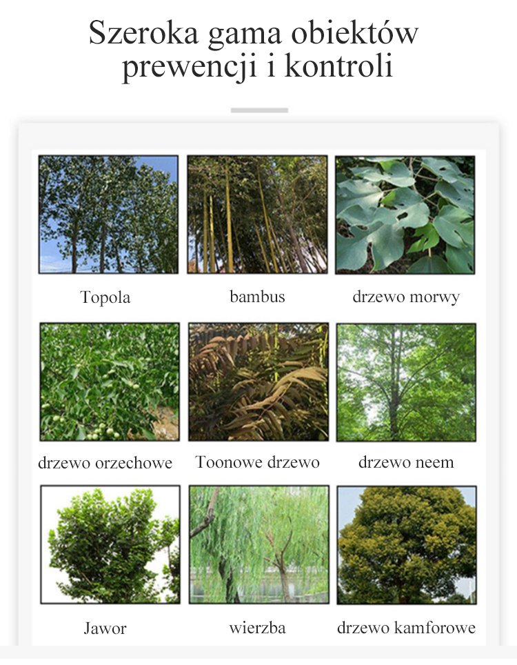 bambusowa siatka zgniły król korzeni do dekoracji