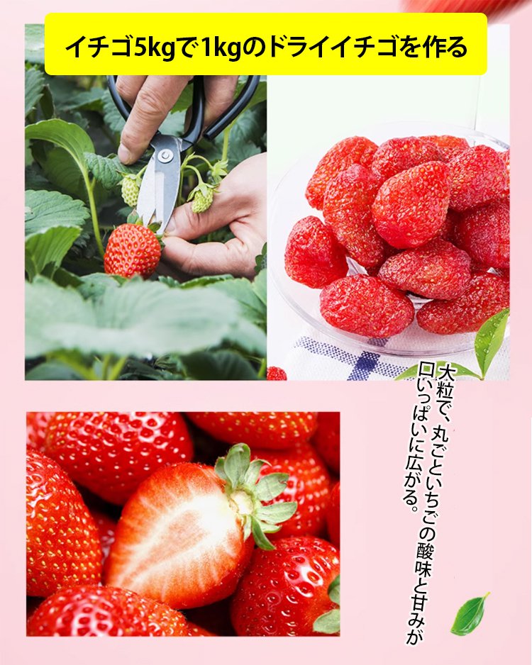 無添加のプレミアムドライストロベリー