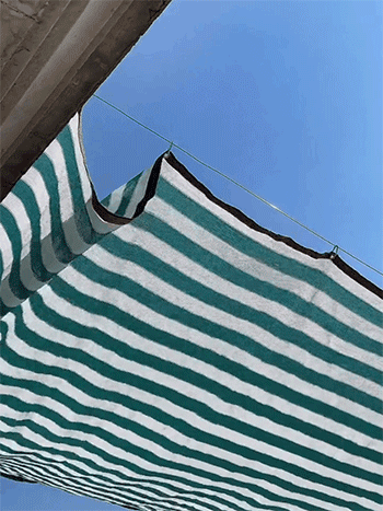 1713163106422.gif