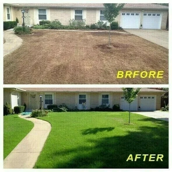 Vânzare fierbinte - Mat semințe de iarbă biodegradabile